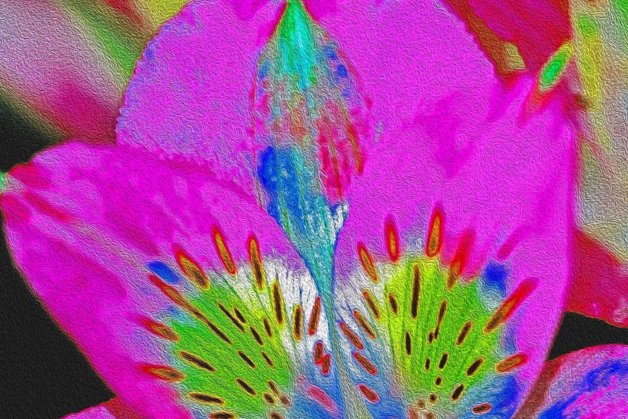 Floral 1 – Color Impressionist